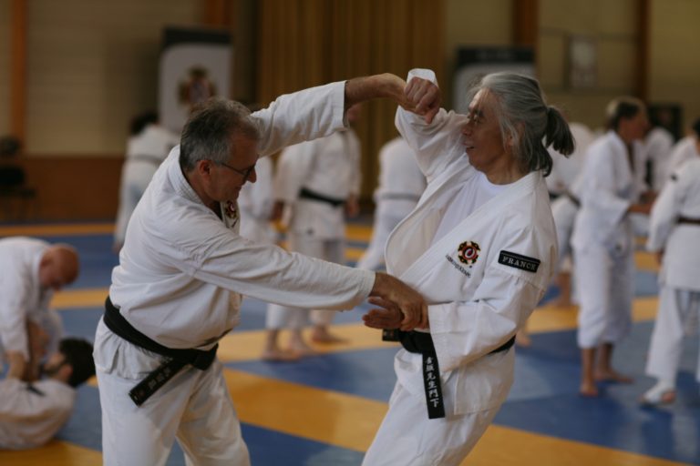 Stage national de Shorinji Kempo à Bordeaux les 07 et 08 juin 2025