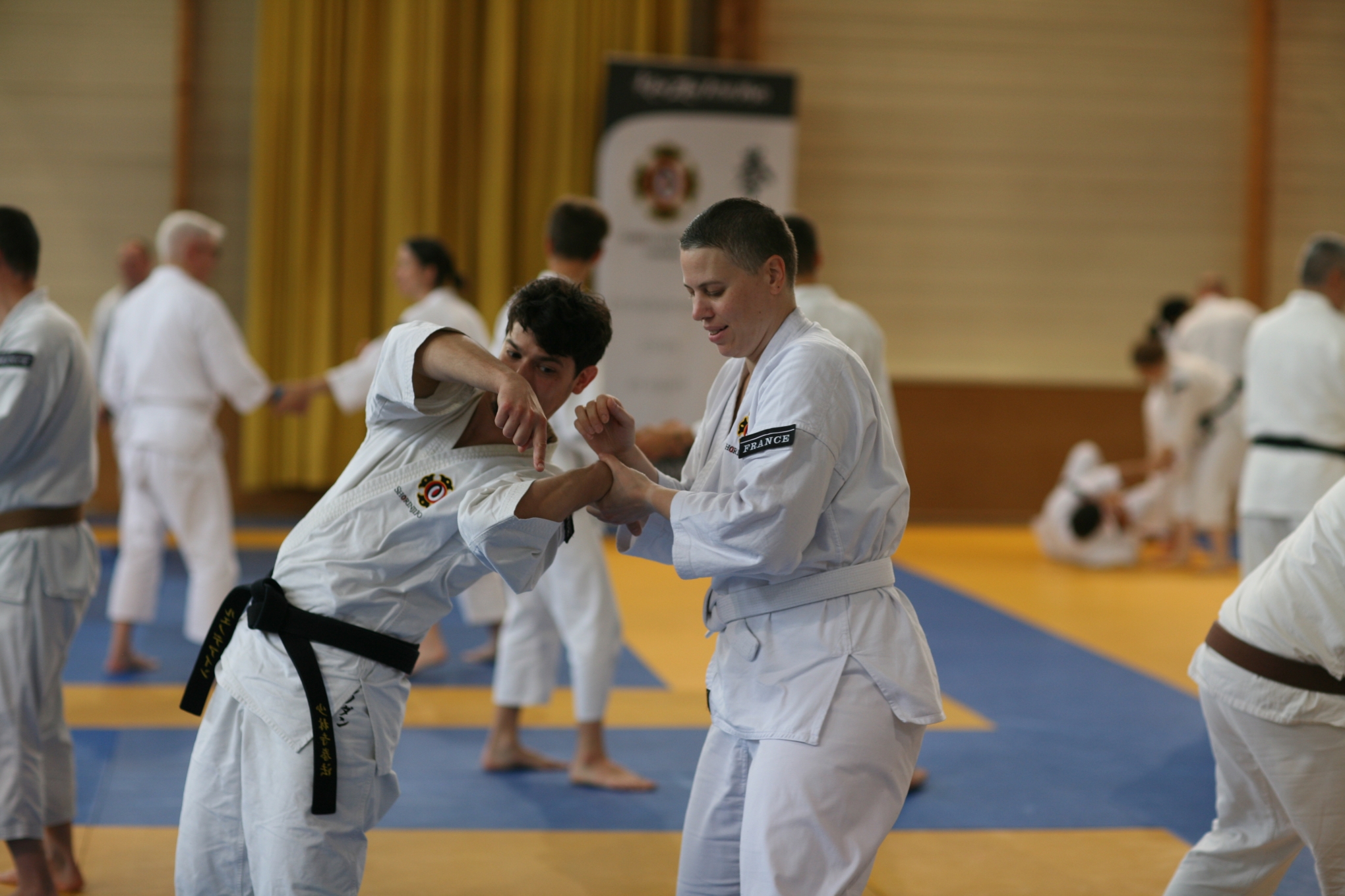 Stage national de Shorinji Kempo à Bordeaux les 07 et 08 juin 2025