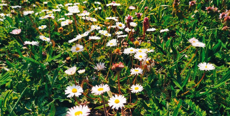 vacances scolaires de pâques 2026