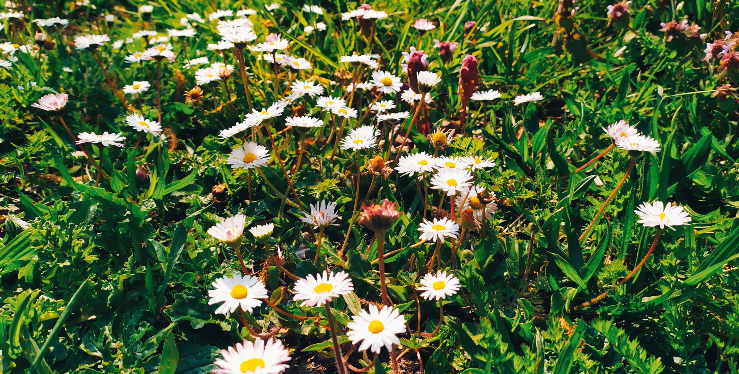 vacances scolaires de pâques 2026